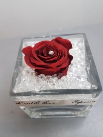 Infinity Rose (Year Lasting Rose)