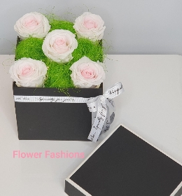 Infinity Pink Rose Box null