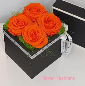 Infinity Orange Rose Box null